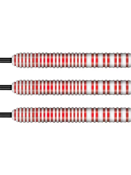 Darts szett Shot steel, Michael Smith Game Day 22g, 90%
