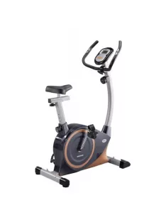 Spartan Magnetic 1100 indoor bike