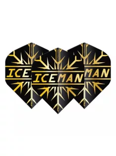   DART TOLL Red Dragon HARDCORE GERWYN PRICE ICEMAN,BLACK/ARANY