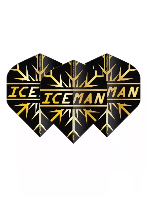 DART TOLL Red Dragon HARDCORE GERWYN PRICE ICEMAN,BLACK/ARANY