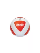 TEQBALL labda 5-ös méret