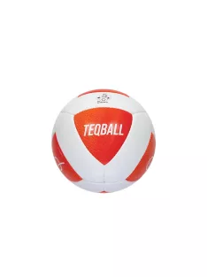 TEQBALL labda 5-ös méret