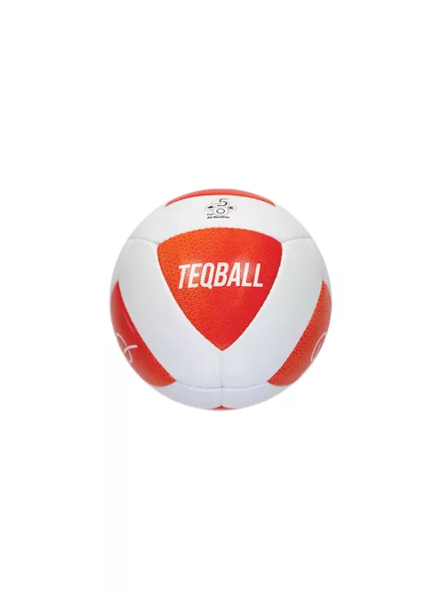 TEQBALL labda 5-ös méret