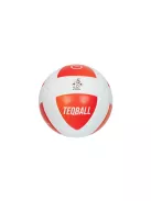 TEQBALL labda 5-ös méret