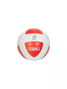 TEQBALL labda 5-ös méret