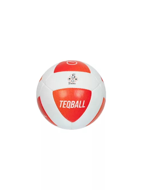 TEQBALL labda 5-ös méret