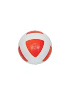 TEQBALL labda 5-ös méret