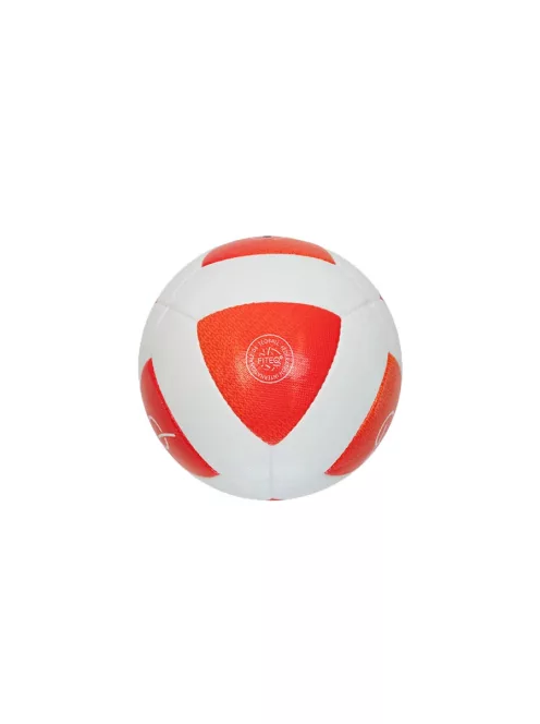 TEQBALL labda 5-ös méret
