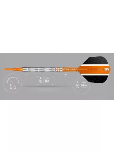 Darts set Target, soft 16g Raymond van Barneveld, 80%, RVB