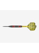 DART SET TARGET STEEL DIMITRI VAN DEN BERGH 22G, BRASS DVDB 2022