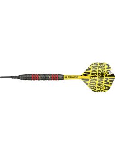   DART SET TARGET SOFT DIMITRI VAN DEN BERGH 18G, BRASS DVDB 2022