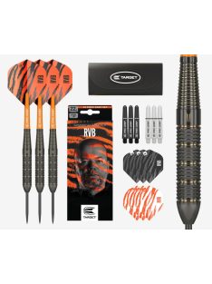   DART SZETT TARGET STEEL RAYMOND VAN BARNEVELD 22G, BRASS 2023