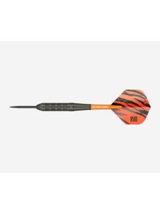   DART SZETT TARGET STEEL RAYMOND VAN BARNEVELD 22G, BRASS 2023
