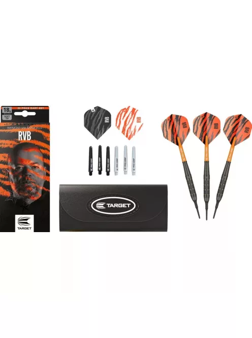 DART SET TARGET SOFT RAYMOND VAN BARNEVELD 18G, BRASS 2023