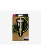 DART SZETT STEEL TARGET SP CULT ENVY 02 25G 90% WOLFRAM