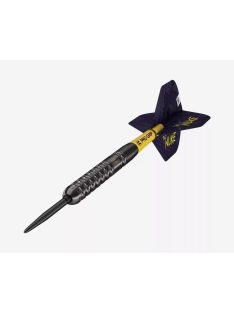   DART SZETT TARGET STEEL SWISS POINT LUKE LITTLER 2024 22G, 90% 