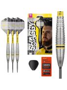 Darts szett steel Target SP Scott Williams G2 25g 90%