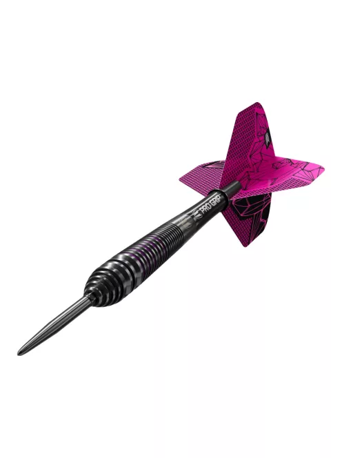 Darts szett TARGET Lorraine Winstanley GEN2 Swiss Point Steeldarts - 24g