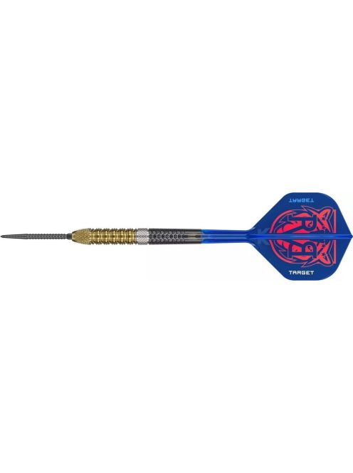 Darts szett Target Raymond Van Barneveld GEN6 Swiss Point Steeldarts 25g
