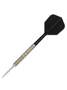   Darts szett steel Target Japan SP Black Marque Reyn G2, 21g 90%
