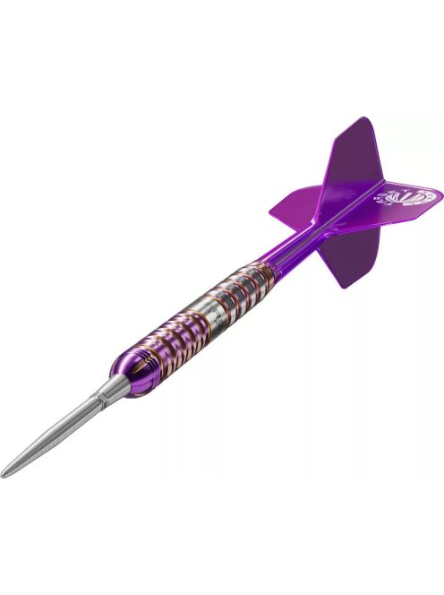 Darts szett steel Target Japan SP Endeavour G2, 24g 90%