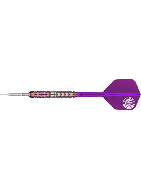 Darts szett steel Target Japan SP Endeavour G2, 24g 90%