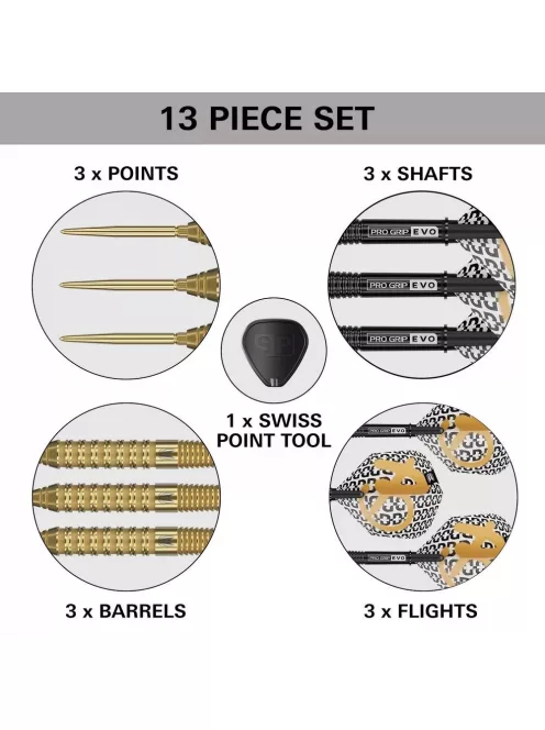 Darts szett steel Target SP Bolide Envy 02 - 22g, 90% 