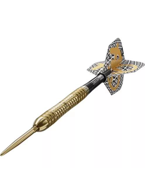 Darts szett steel Target SP Bolide Envy 04 - 21g, 90%