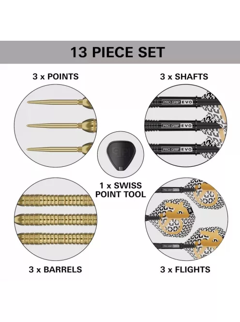 Darts szett steel Target SP Bolide Envy 04 - 23g, 90%