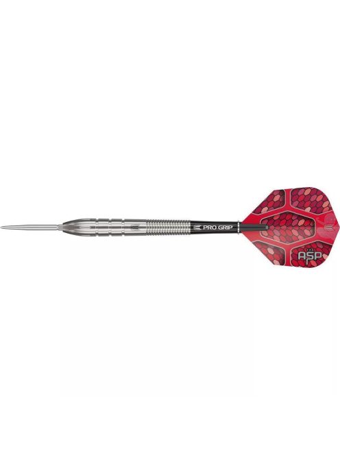 Dart szett steel Target SP Nathan Aspinall G1 24g, 90%