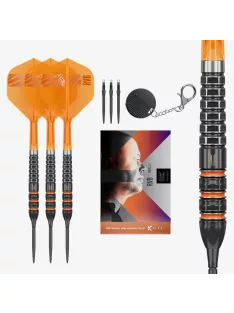   Darts szett steel TARGET Raymond Van Barneveld 95K Swiss Points, 23g 95%