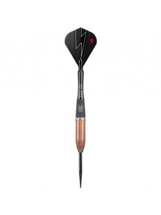   Darts szett TARGET steel 22g Phil Taylor Power 9five Gen5 95%