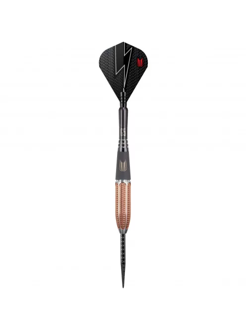 Darts set TARGET steel 22g Phil Taylor Power 9five Gen5 95%