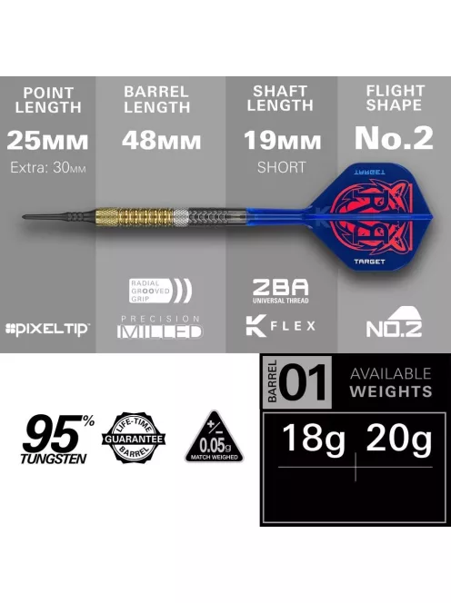 Darts szett Target Raymond Van Barneveld GEN6 Soft 20g