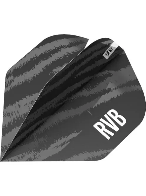 DARTS PEN TARGET RAYMOND VAN BARNEVELD BRASS 2023, BLACK PRO.ULTRA NO2