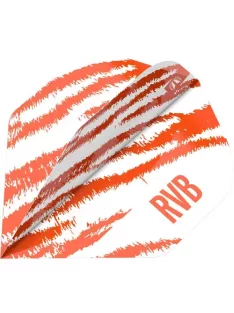   DARTS PEN TARGET RAYMOND VAN BARNEVELD BRASS 2023, WHITE PRO.ULTRA NO2