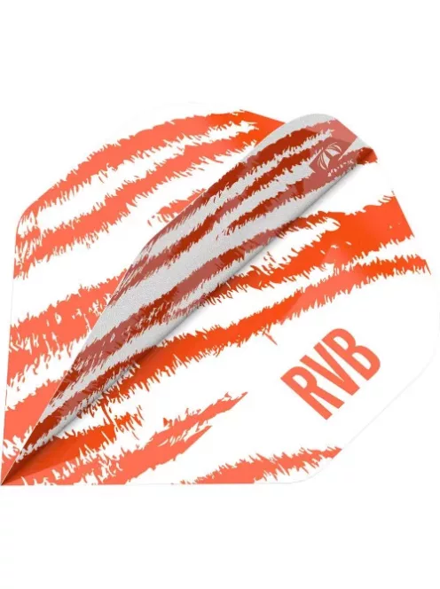 DARTS PEN TARGET RAYMOND VAN BARNEVELD BRASS 2023, WHITE PRO.ULTRA NO2