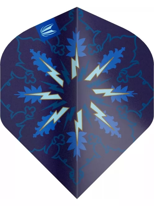 Target ProUltra Phil Taylor Power Gx2 No2 toll csomag