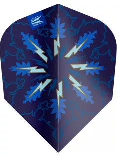 Target ProUltra Phil Taylor Power Gx2 No6 toll csomag