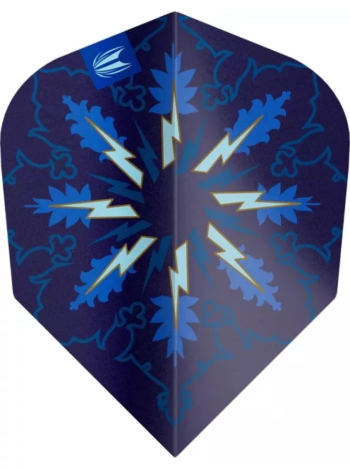 Target ProUltra Phil Taylor Power Gx2 No6 toll csomag