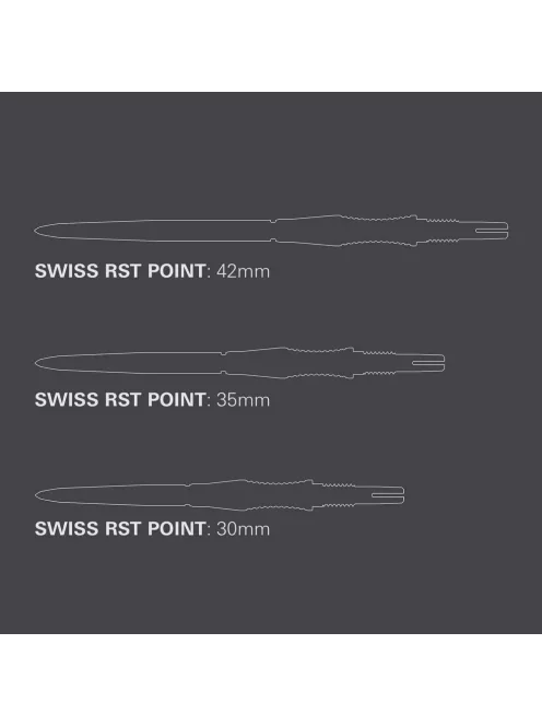 Darts fémhegy TARGET Swiss Storm RST, ezüst 30mm