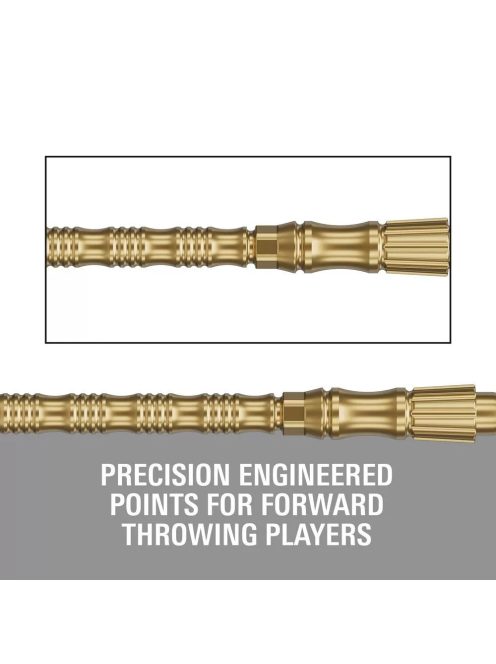 Darts fémhegy TARGET Swiss Point TRB, arany, 42mm