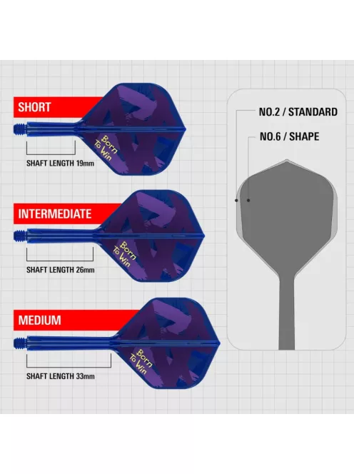 DARTS TOLL ÉS SZÁR EGYBEN TARGET K-FLEX Luke Littler Born To Win, NO6 TOLL ÉS HOSSZÚ SZÁR