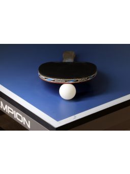 Pingpong asztal
