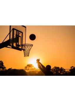 Kosárlabda állvány