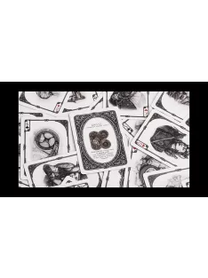 ARISTO Steampunk card, 1 pack